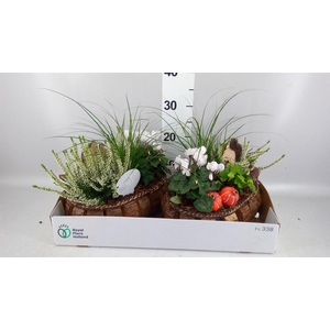 Arr.   Tuinplanten L%