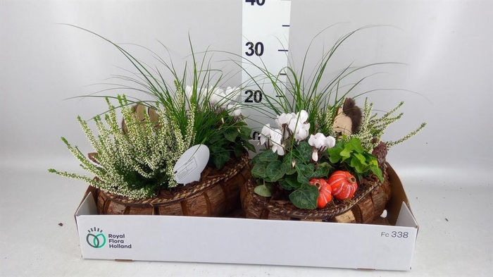 Arr.   Tuinplanten L%