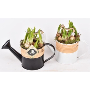 Zink Gieter Met Bamboo 10cm