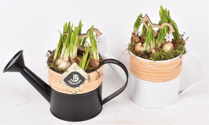 <h4>Zink Gieter Met Bamboo 10cm</h4>