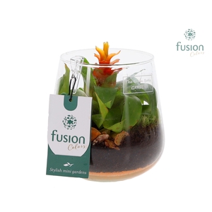 Green Bottle Deline Small met Bromelia