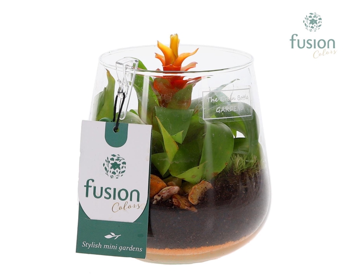 <h4>Green Bottle Deline Small met Bromelia</h4>