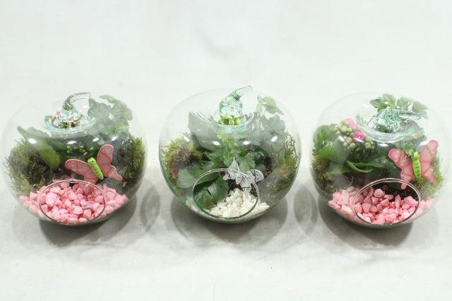 <h4>6625 APPEL RO/WIT</h4>