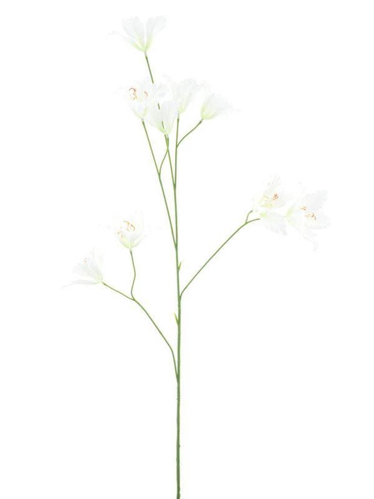 <h4>Wild lily spray cream 86cm</h4>