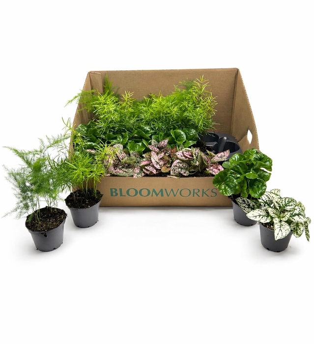 <h4>KAMERPL GEM GR 4 SRT</h4>