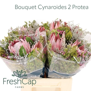 Bouquet Cynaroides 2 Protea