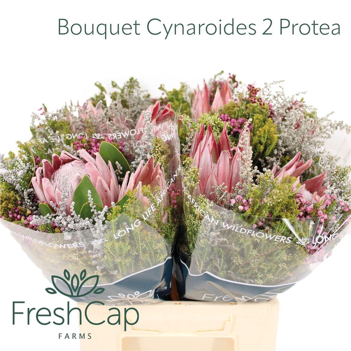 <h4>Bouquet Cynaroides 2 Protea</h4>