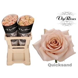 R Gr Quicksand X20