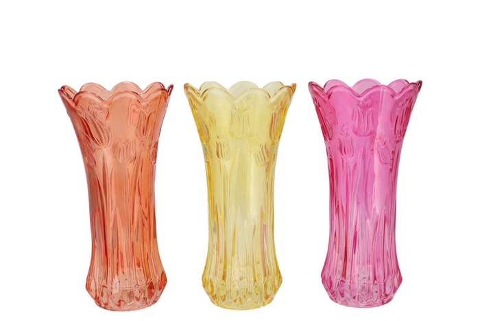 <h4>Delight Dutch Orange Mix Vase Tulip Ass 13x25cm</h4>