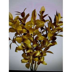Ruscus L55 Mtlc Goud