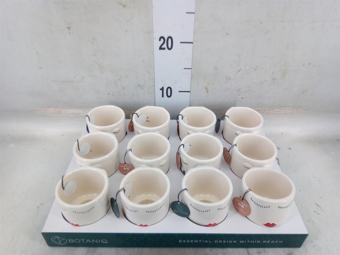 <h4>Decoratieve materialen   ...H%</h4>