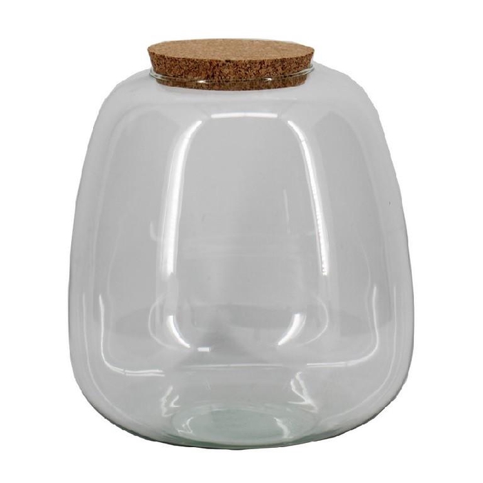 <h4>Glass Terrarium Eco Nana d10/23*25cm</h4>