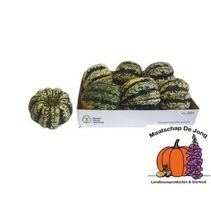 <h4>CUC P SWEET DUMPLING</h4>