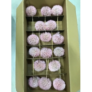 /PRES DANDELION LIGHT PINK SUPERS XL