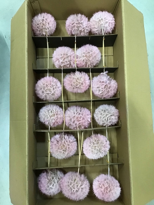 <h4>/PRES DANDELION LIGHT PINK SUPERS XL</h4>