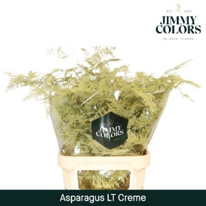 Aspa lang getopt Creme