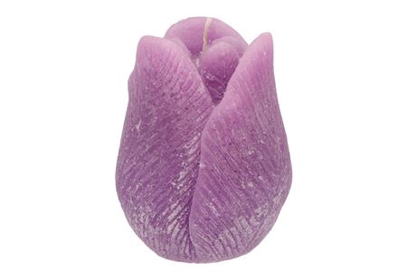 <h4>Candle Tulip Lila 10x13cm Nm</h4>