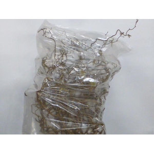 CORYL AV CONTORTA 45 CM X60 =5=