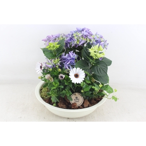 arr4 Outdoor PL - Hort. blauw zink creme schaal