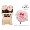 R GR DOLCE SUMMERHOUSE