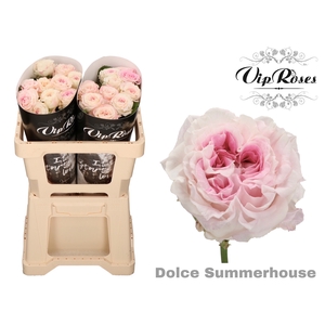 R GR DOLCE SUMMERHOUSE