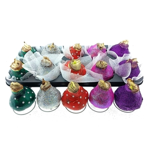 BLOEMBOL HIPPEASTRUM