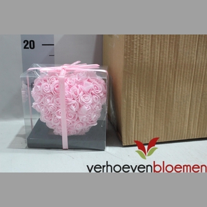 Rozenhart Pink Foam In Giftbox