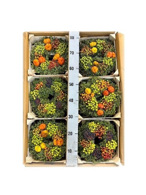 <h4>KRANS SIERFRUIT H%</h4>