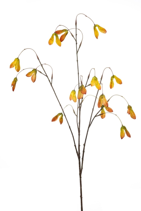 <h4>Maple seed spray orange 100cm</h4>