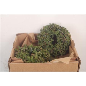 Krans Juniperis Wild Green 20cm
