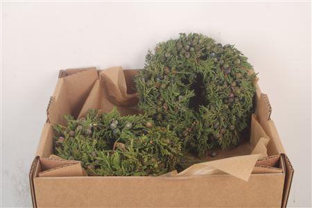 <h4>Krans Juniperis Wild Green 20cm</h4>