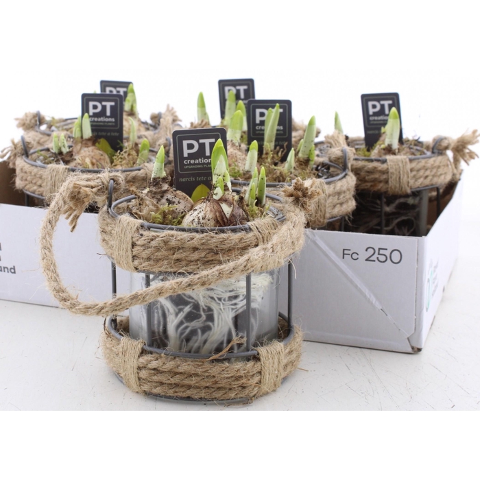 <h4>ARR N TETE A TETE</h4>