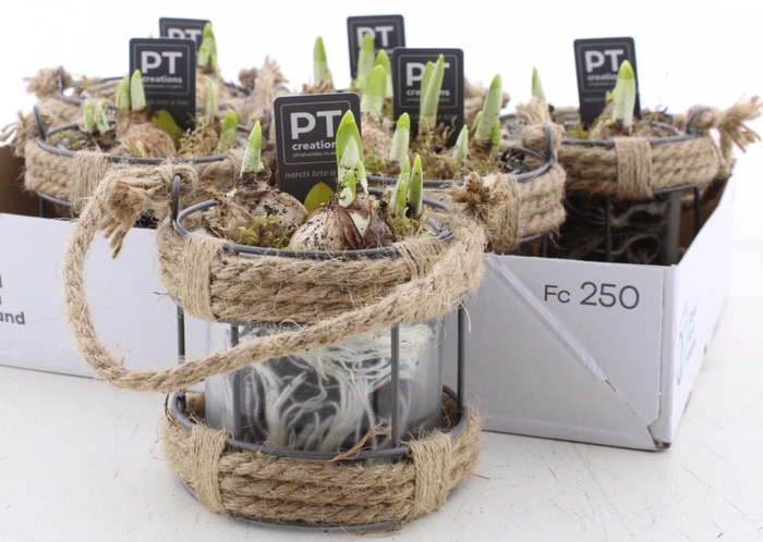 <h4>ARR N TETE A TETE</h4>