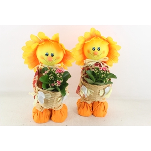 arr2 TD - Zonnenbloem pop - roze