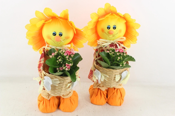 <h4>arr2 TD - Zonnenbloem pop - roze</h4>