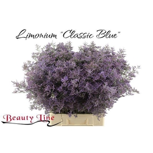 LIM SAF CLASSIC BLUE