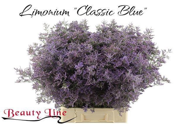 <h4>LIM SAF CLASSIC BLUE</h4>