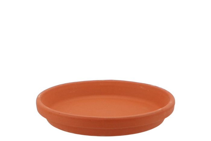 <h4>Terra Cotta Saucer D17x3cm</h4>