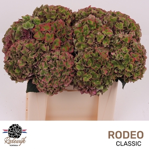 HYDR M CH RODEO CL