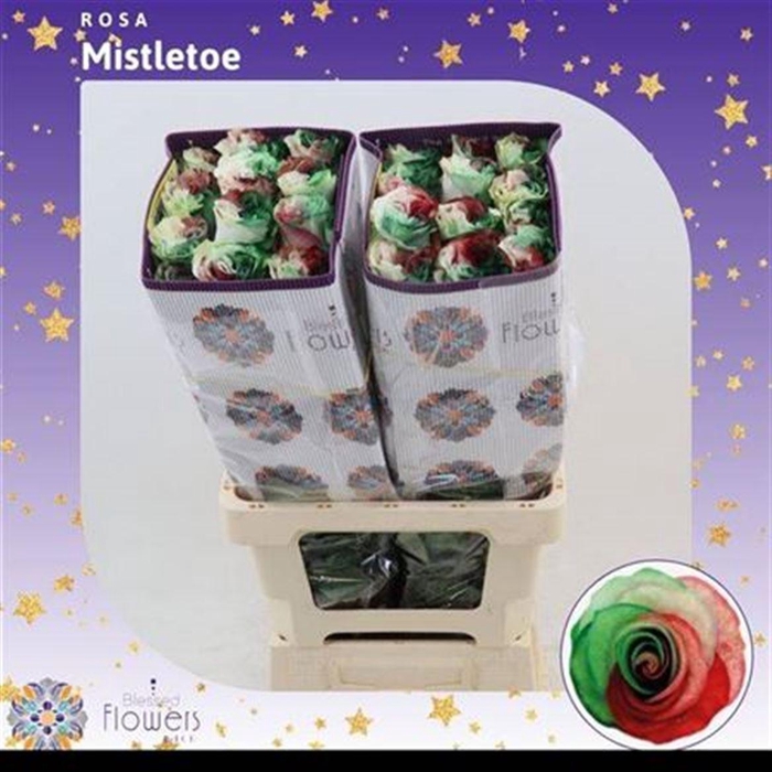 <h4>R Gr Mistlletoe Ec</h4>