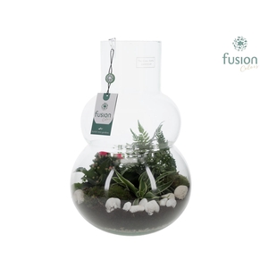 Green Bottle Olaf Large met Arrangementen