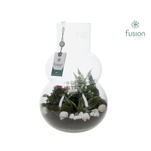 Green Bottle Olaf Large met Arrangementen