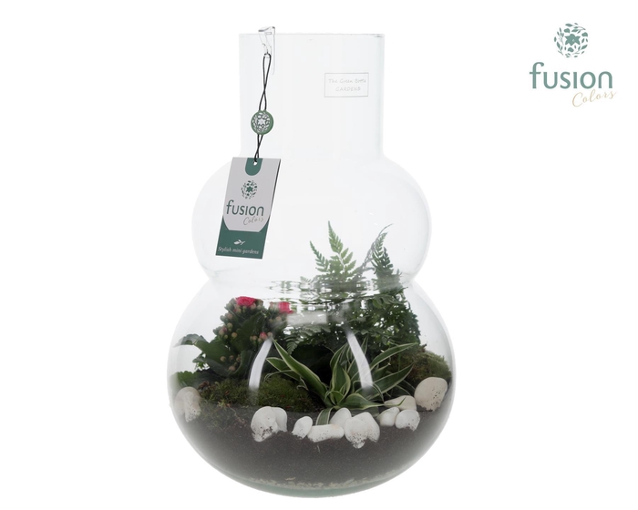 <h4>Green Bottle Olaf Large met Arrangementen</h4>