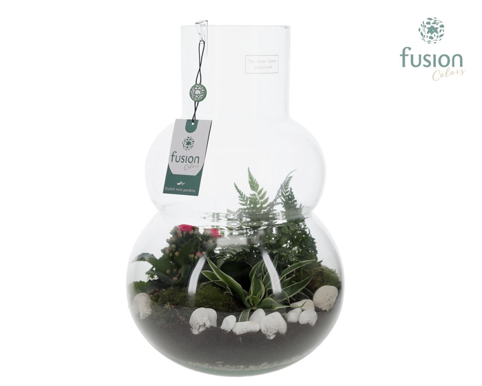 <h4>Green Bottle Olaf Large met Arrangementen</h4>