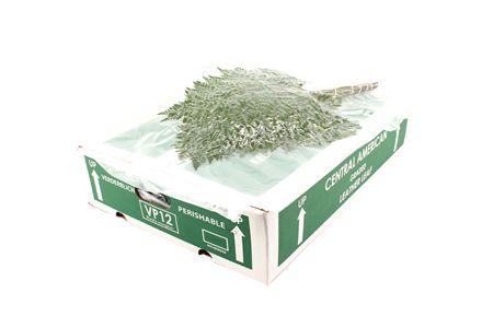 <h4>Deco Gr Lederv. Large V P X12</h4>