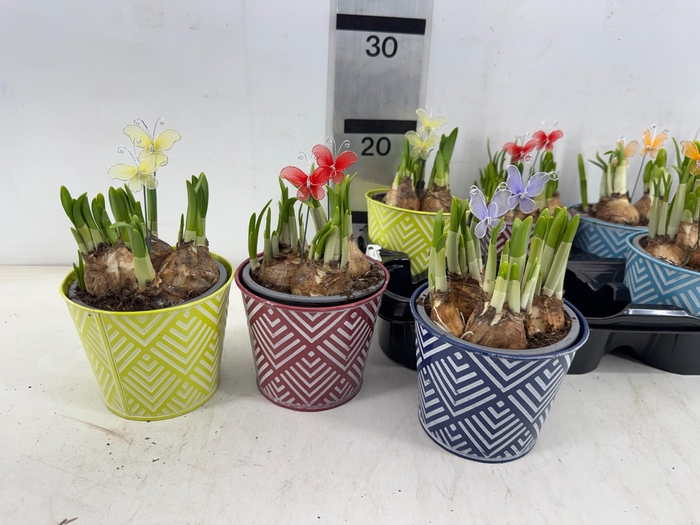 <h4>ARR N TETE A TETE</h4>