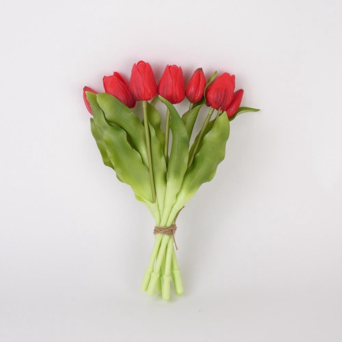 <h4>AF Tulip bundle x7 L30cm red</h4>