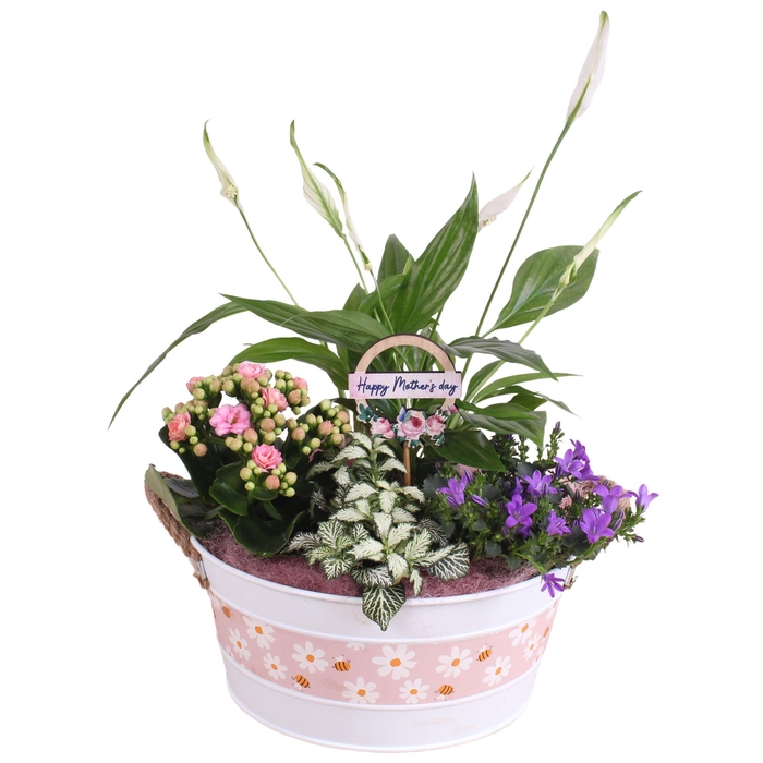 <h4>Mothersday Arr. Indoor Zinc White with Flowers & Bees Ø24cm 4PP</h4>
