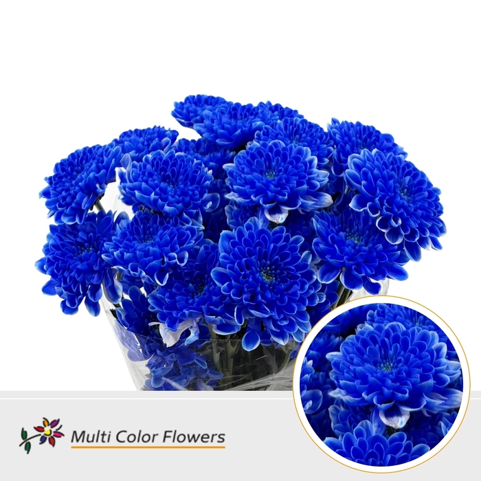 <h4>Chr T Altaj Blauw Donker</h4>