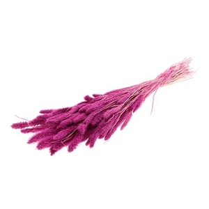 Bunch Setaria Slv L75 150g